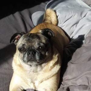 Meet your Posher, Tammy